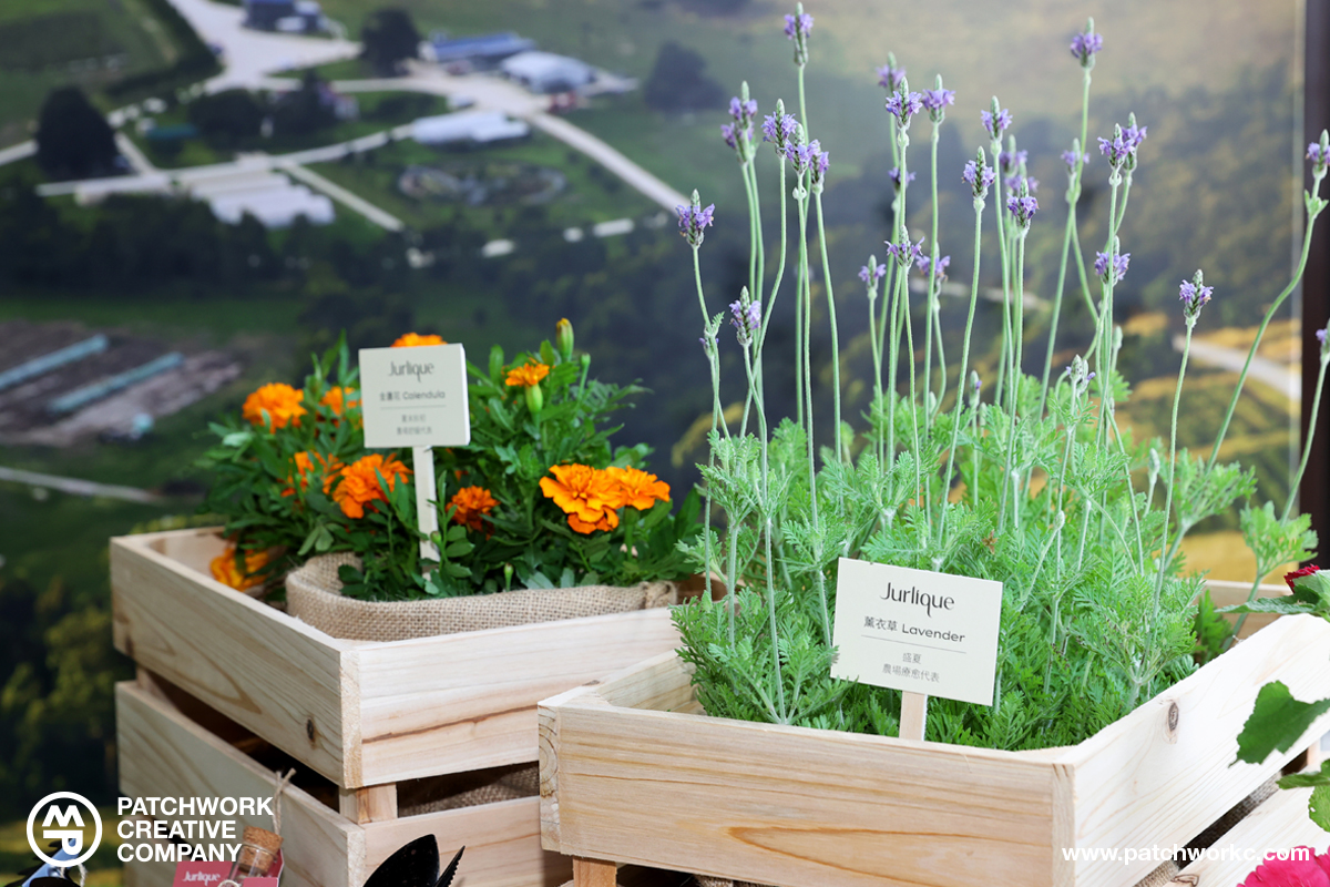 Jurlique ACTIVATING WATER ESSENCE+ Event b